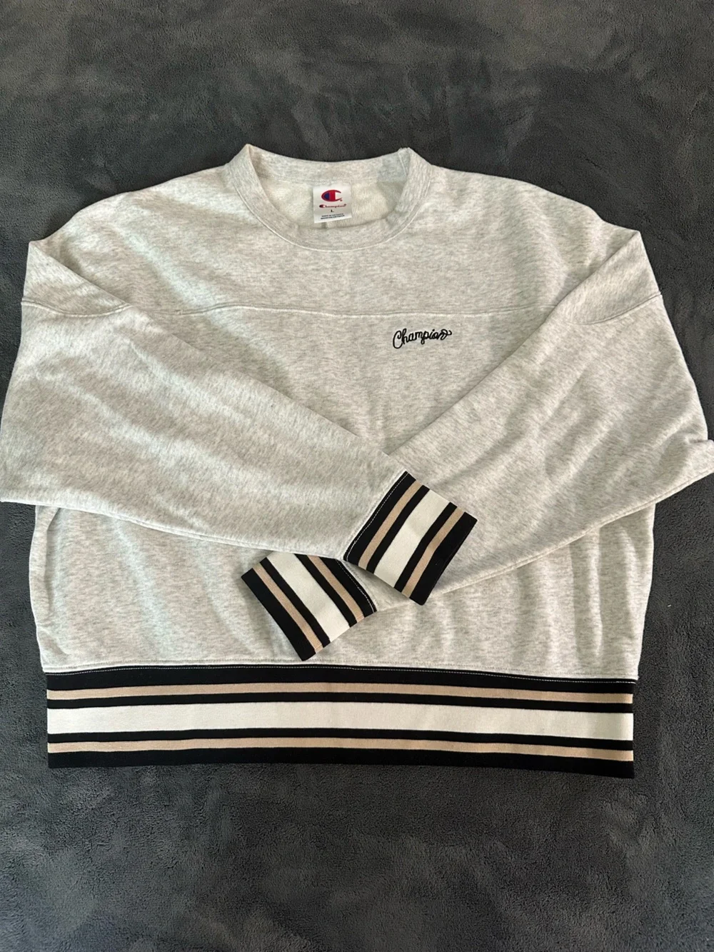 Champion Sweatshirt